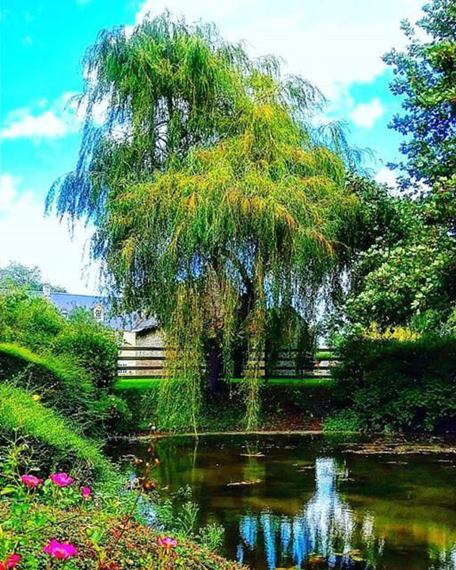 Hotel Le Manoir De Mathan Crepon A La Campagne 5 Mn D'Arromanches Et 10 Mn De Bayeux Kültér fotó